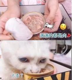 网红贡一扒皮,真实身份与背后故事大起底