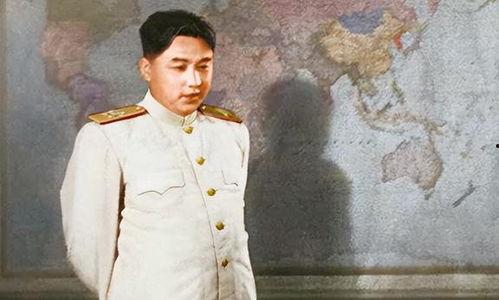 彭总的资料,商业奇才的崛起与辉煌历程