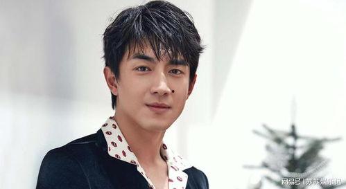 林更新年轻时照片,从青涩少年到魅力影星